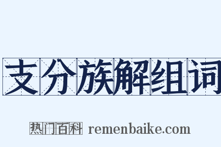 支分族解组词是什么意思的图片